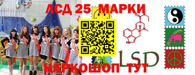 a pvp Кингисепп