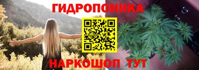 a pvp Кингисепп