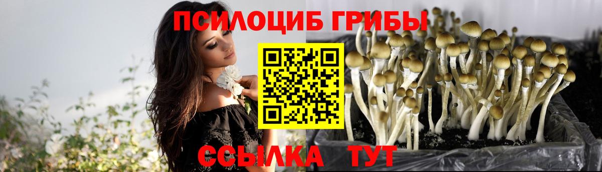 Галлюциногенные грибы MAGIC MUSHROOMS  Вход с VPN  Киселёвск 